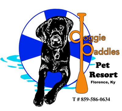 doggie paddles pet resort florence ky